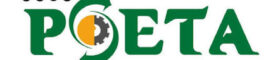 p seta